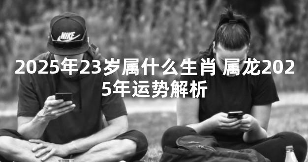 2025年23岁属什么生肖 属龙2025年运势解析